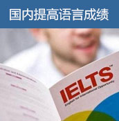 国内提高语言成绩